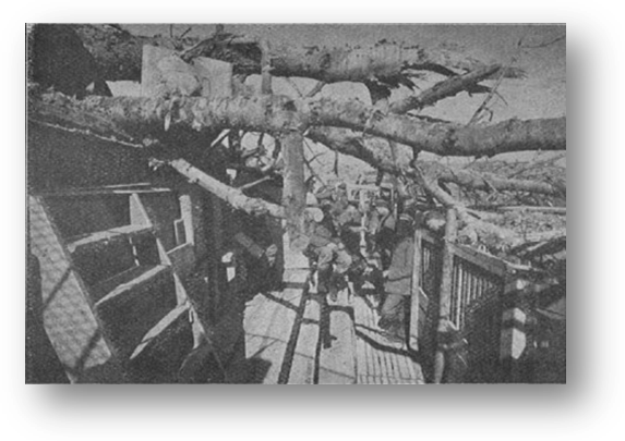 Leutnant Bader im vordersten Graben südlich Ammerzweiler. Über dem Graben ein von einer französischen Zentnermine gefällter Baum.