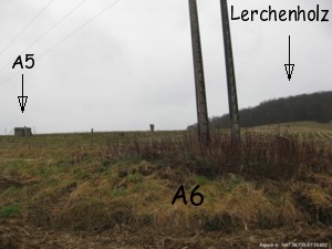 A6 (N47 38.735 E7 13.602)